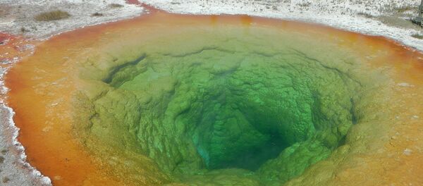 يلوستون - سبوتنيك عربي