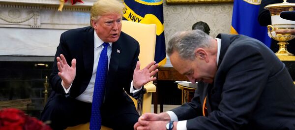 الرئيس الأمريكي دونالد ترامب يتحدث إلى زعيم الحزب الديموقراطي تشاك شومر في مكتب البيت الأبيض في واشنطن، الولايات المتحدة 11 ديسمبر/ كانون الأول 2018 - سبوتنيك عربي