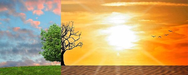 الجفاف - سبوتنيك عربي