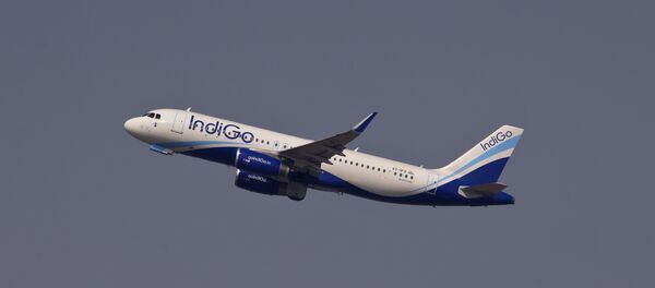 خطوط إنديغو الجوية الهندية - سبوتنيك عربي