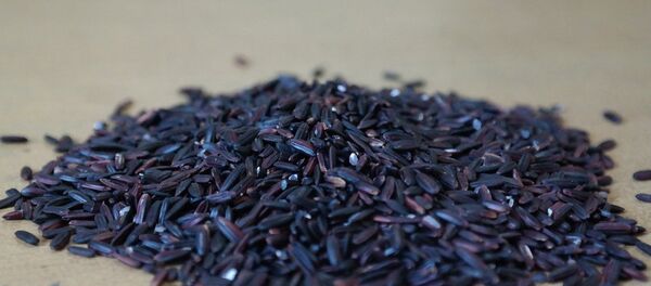 الأرز الأسود الأرز الأسود - سبوتنيك عربي