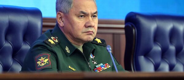 وزير الدفاع الروسي سيرغي شويغو في اجتماع موسع في وزارة الدفاع الروسية، 18 ديسمبر/ كانون الأول 2018 - سبوتنيك عربي