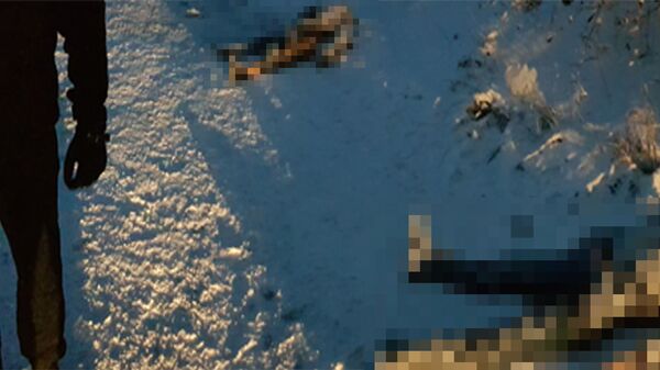 جهاز الأمن الفدرالي الروسي ينشر صور القضاء على أفراد تنظيم داعش الإرهابي في ستافروبل، روسيا - سبوتنيك عربي