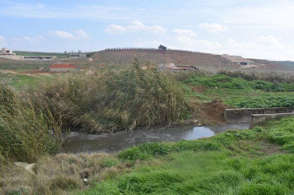 مرض يفتك بسكان قرية لبنانية - سبوتنيك عربي