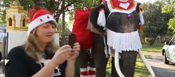 فيلة بزي بابا نويل تجوب شوارع تايلاند - سبوتنيك عربي