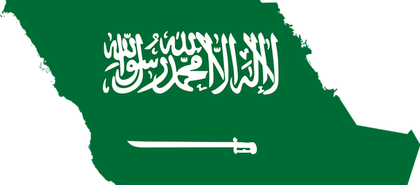 السعودية - سبوتنيك عربي