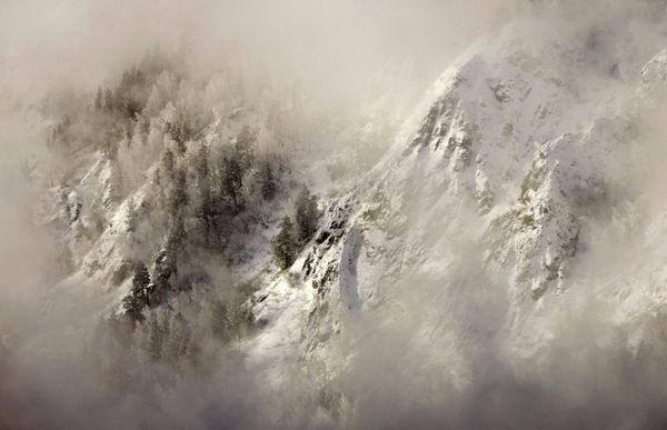 تايغا السيبيرية بالقرب من نهر ينيسي تايغا السيبيرية بالقرب من نهر ينيسي - سبوتنيك عربي