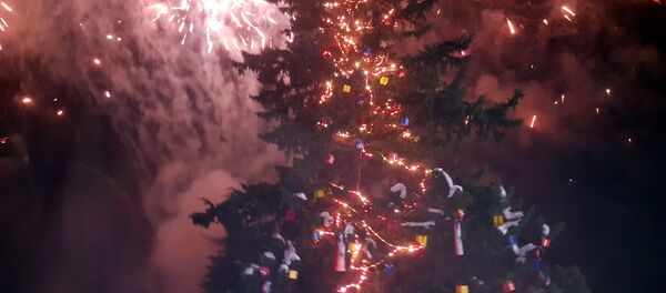 جرحى الحرب وأطفال الشهداء يضيئون أكبر شجرة طبيعية لعيد الميلاد في سوريا جرحى الحرب وأطفال الشهداء يضيئون أكبر شجرة طبيعية لعيد الميلاد في سوريا - سبوتنيك عربي