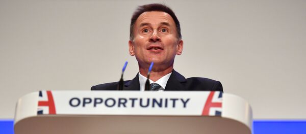 وزير الخارجية البريطاني جيريمي هنت - سبوتنيك عربي