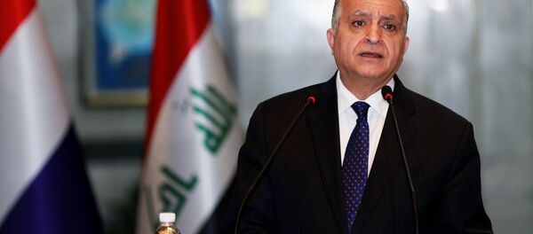 وزير الخارجية العراقي، محمد علي الحكيم - سبوتنيك عربي