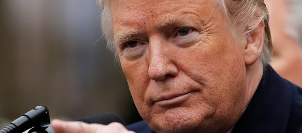 الرئيس الأمريكي دونالد ترامب - سبوتنيك عربي