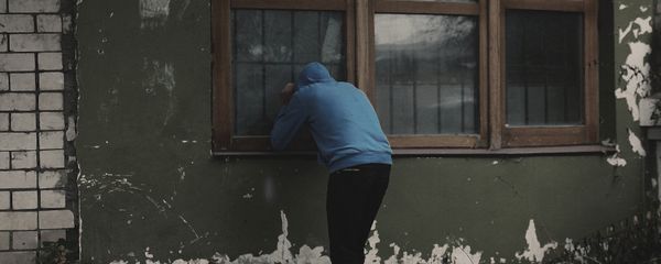 لص - سبوتنيك عربي