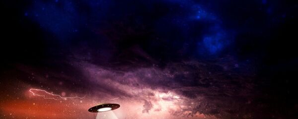 صحن طائر - سبوتنيك عربي