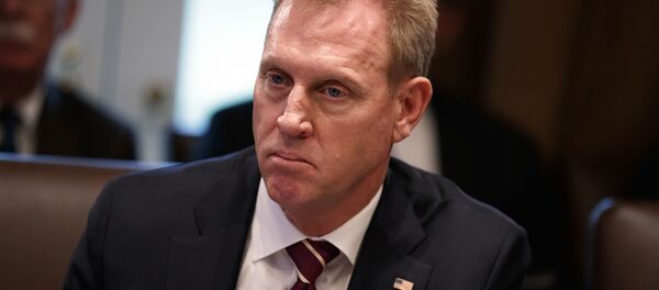 باتريك شاناهان - سبوتنيك عربي