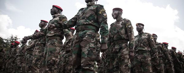 جيش أفريقيا الوسطى - سبوتنيك عربي