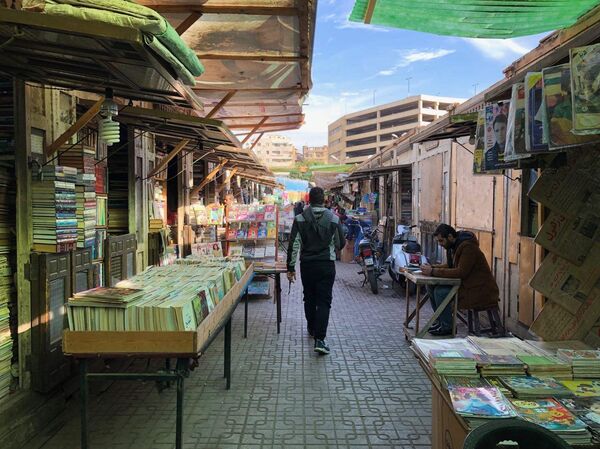 سور الأزبكية لبيع الكتب القديمة بالقاهرة - سبوتنيك عربي