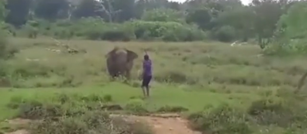 فيل يهاجم رجل حاول تنويمه مغناطيسيا ويقتله بقدميه الضخمتين فيل يهاجم رجل حاول تنويمه مغناطيسيا ويقتله بقدميه الضخمتين - سبوتنيك عربي