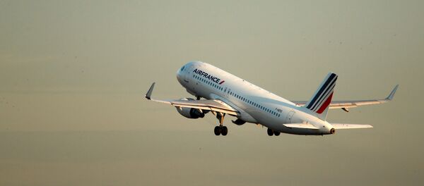 اير فرانس - سبوتنيك عربي