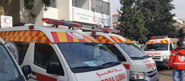 استلمت 16 سيارة إسعاف يابانية...الهلال الأحمر السوري: جاهزون لإرسال قوافل إلى الركبان - سبوتنيك عربي