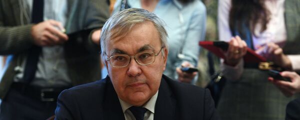 نائب وزير الخارجية الروسي، سيرغي فيرشينين - سبوتنيك عربي