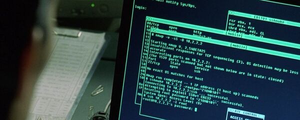 قرصنة  - سبوتنيك عربي