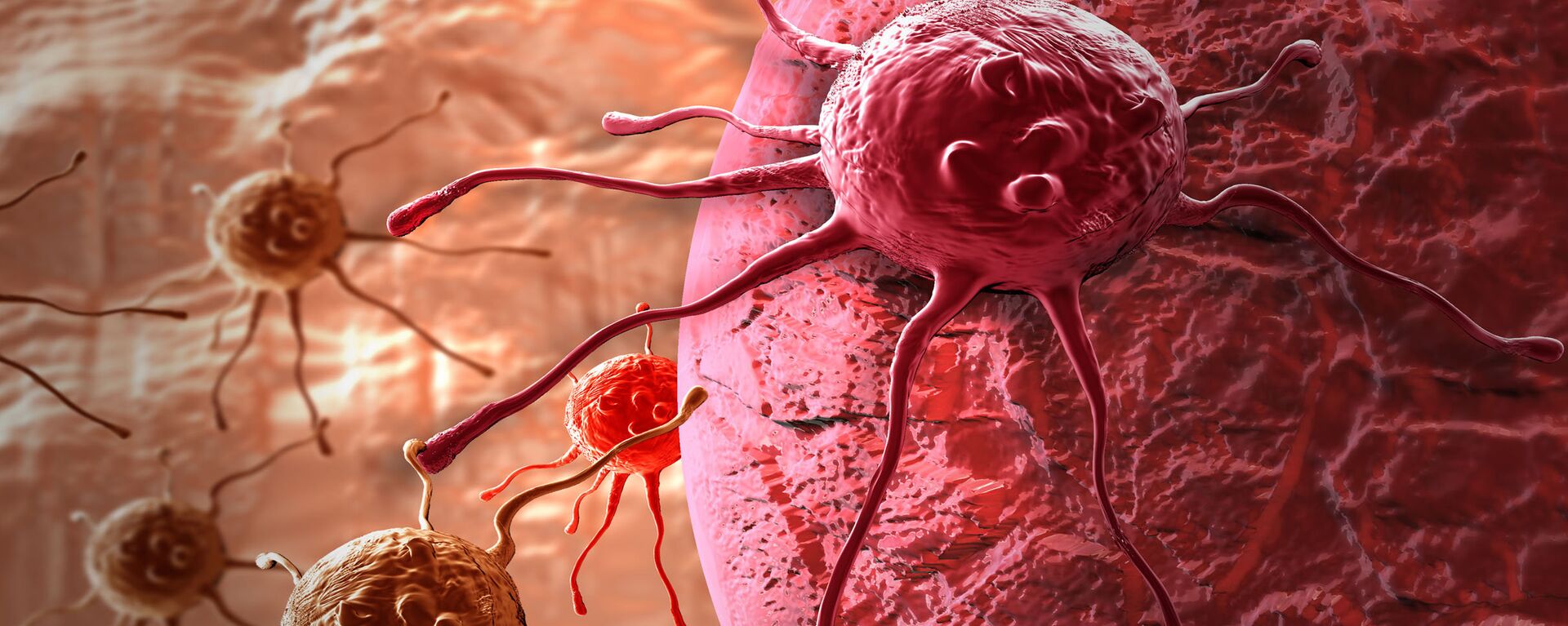 خلايا سرطانية  - سبوتنيك عربي, 1920, 07.12.2020