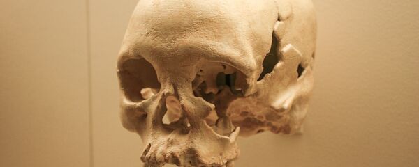 جمجمة في متحف في واشنطن - سبوتنيك عربي
