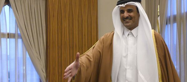 أمير قطر الشيخ تميم بن حمد آل ثاني - سبوتنيك عربي