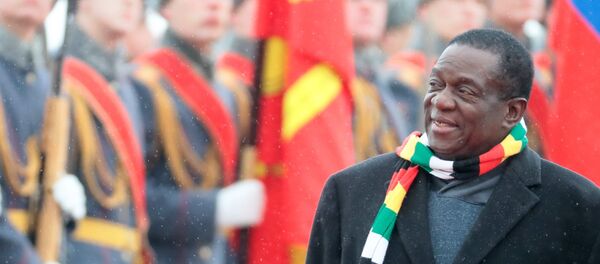 زيارة رئيس زيمبابوي إيمرسون منانغاغوا إلى موسكو - سبوتنيك عربي