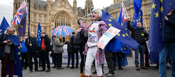 مظاهرات ضد خروج بريطانيا من الاتحاد الأوروبي، لندن 15 يناير/ كانون الثاني 2019 مظاهرات ضد خروج بريطانيا من الاتحاد الأوروبي، لندن 15 يناير/ كانون الثاني 2019 - سبوتنيك عربي