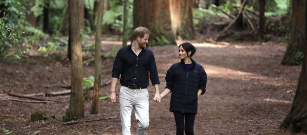 الأمير هاري - سبوتنيك عربي