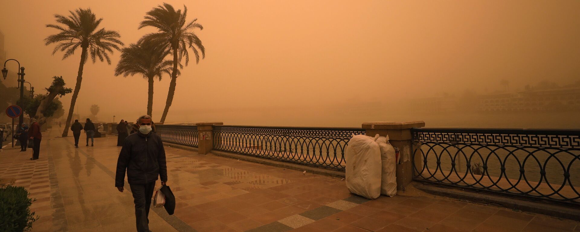 رجل يغطي وجهه خلال عاصفة رملية بالقرب من نهر النيل في القاهرة - سبوتنيك عربي, 1920, 11.03.2021