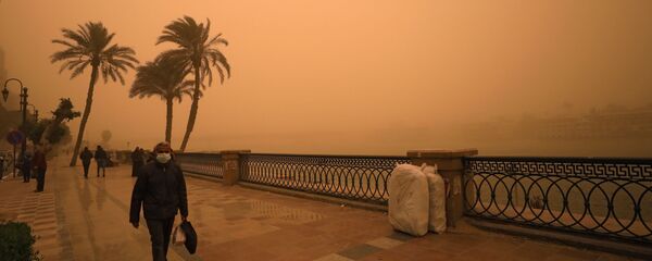 عاصفة رملية تضرب مصر - القاهرة، 16 يناير/ كانون الثاني 2019 - سبوتنيك عربي