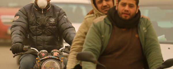 عاصفة رملية تضرب مصر - القاهرة، 16 يناير/ كانون الثاني 2019 - سبوتنيك عربي