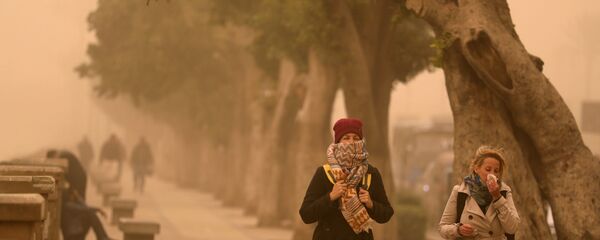 عاصفة رملية تضرب مصر - القاهرة، 16 يناير/ كانون الثاني 2019 - سبوتنيك عربي