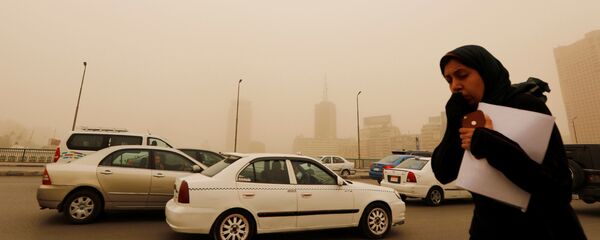 عاصفة رملية تضرب مصر - القاهرة، 16 يناير/ كانون الثاني 2019 - سبوتنيك عربي