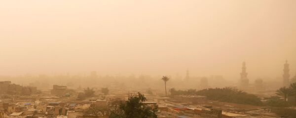 عاصفة رملية تضرب مصر - القاهرة، 16 يناير/ كانون الثاني 2019 - سبوتنيك عربي