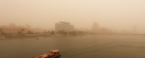 عاصفة رملية تضرب مصر - القاهرة، 16 يناير/ كانون الثاني 2019 - سبوتنيك عربي