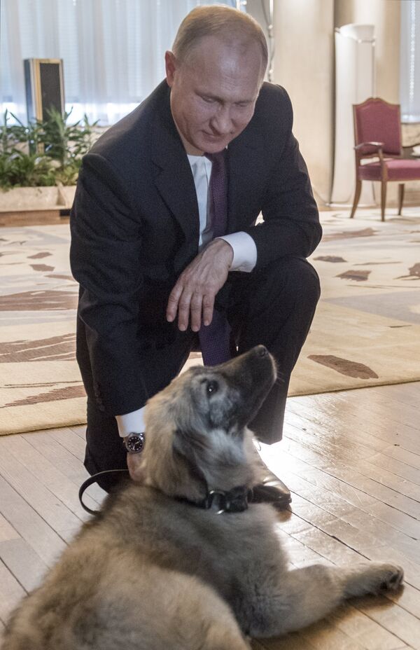 هدية غير متوقعة من الرئيس الصربي لبوتين - سبوتنيك عربي