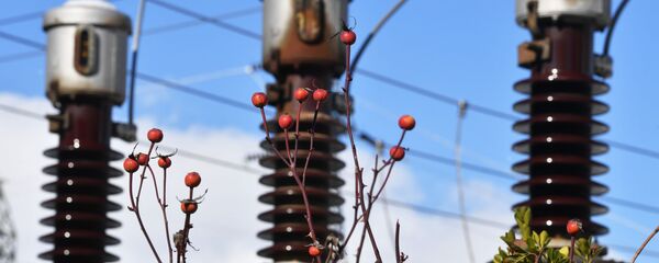 تصليحات لخطوط الكهرباء، محطة لتوليد الكهرباء من الطاقة الشمسية، تبعد 20 كيلومترا عن دمشق، سوريا - سبوتنيك عربي