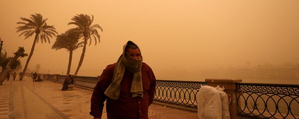 عاصفة رملية تضرب مصر - القاهرة، 16 يناير/ كانون الثاني 2019 عاصفة رملية تضرب مصر - القاهرة، 16 يناير/ كانون الثاني 2019 - سبوتنيك عربي