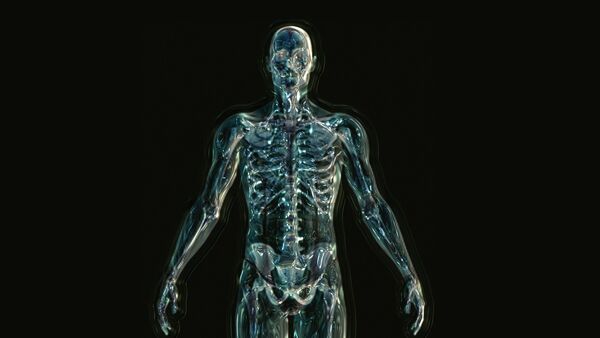 جسم الإنسان - سبوتنيك عربي