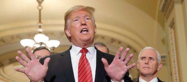 الرئيس الأمريكي دونالد ترامب - سبوتنيك عربي