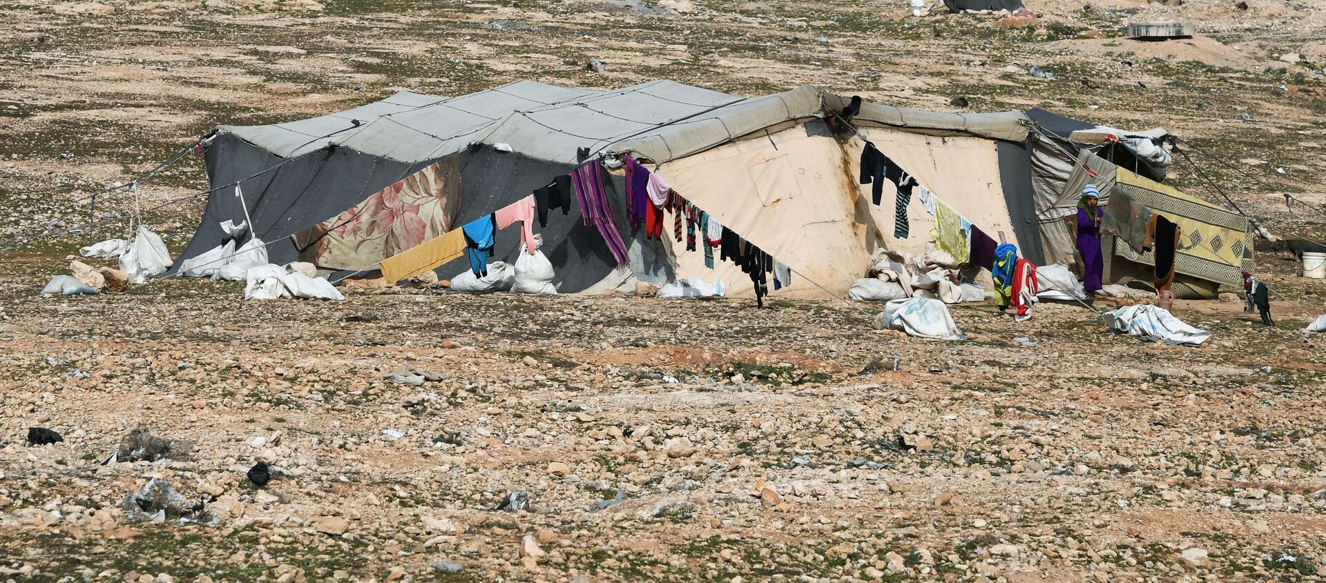 مخيم اللاجئين، النازحين السوريين من تدمر، في ريف حمص، سوريا - سبوتنيك عربي, 1920, 01.02.2021