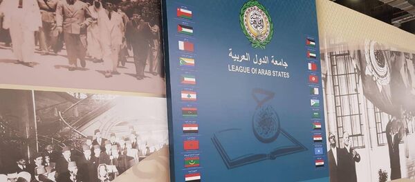 جناح جامعة الدول العربية في معرض القاهرة الدولي للكتاب - سبوتنيك عربي