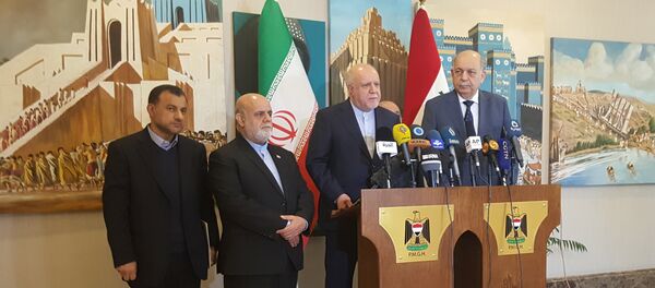 وزير النفط الإيراني بيجن زنغنه - سبوتنيك عربي