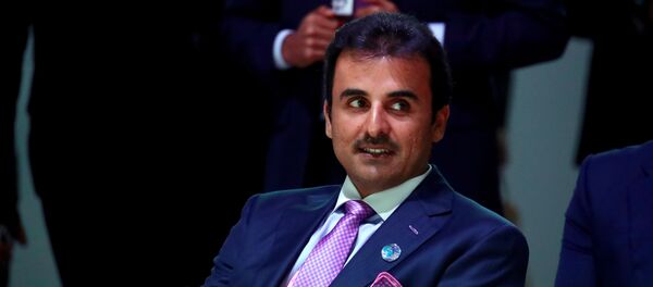 أمير قطر الشيخ تميم بن حمد آل ثاني - سبوتنيك عربي