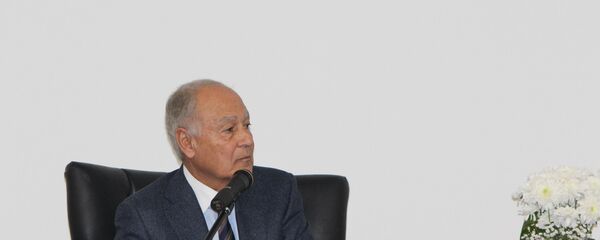 أحمد أبو الغيط  الأمين العام لجامعة الدول العربية - سبوتنيك عربي