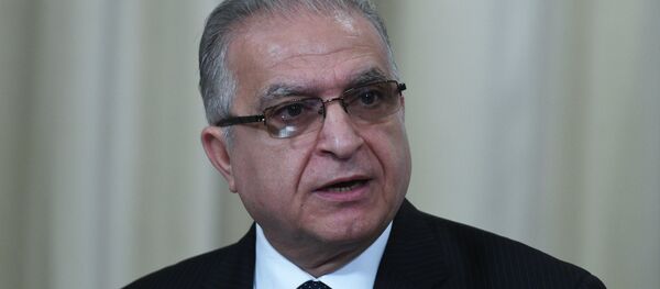 مؤتمر صحفي بين وزير الخارجية الروسي سيرغي لافروف ونظيره العراقي محمد الحكيم 30 يناير/ كانون الثاني 2019 - سبوتنيك عربي