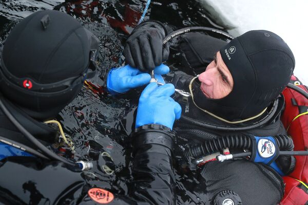  الغطاس المصري العالمي أحمد جبر يسجل رقم قياسي في موسوعة غينيس للأرقام القياسية - حامل الرقم القياسي العالمي للغوص العميق أحمد جبر، يغطس تحت الجليد في قاعدة النادي تحت الماء بياتي إليمينت (العنصر الخامس) في أميرفيسك في منطقة شيولكوفسكي في ضواحي موسكو. - سبوتنيك عربي